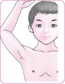 极泉穴青灵穴107-109.tif