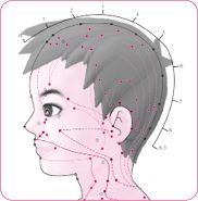 听宫穴侧后.tif