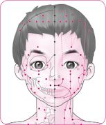 颧骨穴后.tif