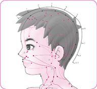 颅息穴后.tif