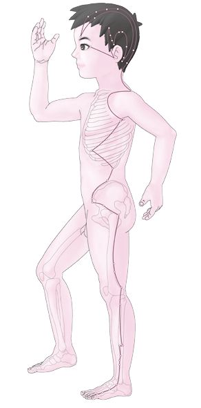 第十一章.tif