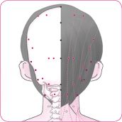 天柱穴后.tif